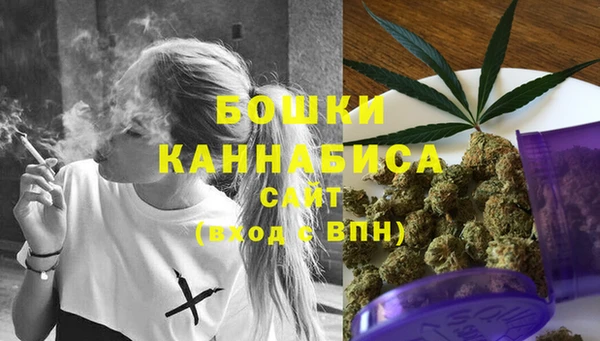 ECSTASY Магас
