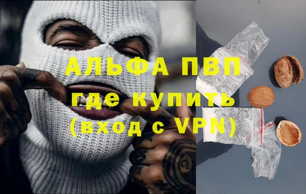 ECSTASY Магас